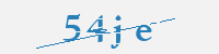보안문자